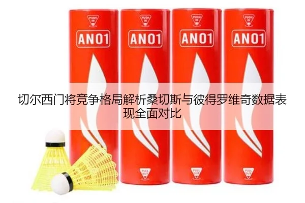切尔西门将竞争格局解析桑切斯与彼得罗维奇数据表现全面对比
